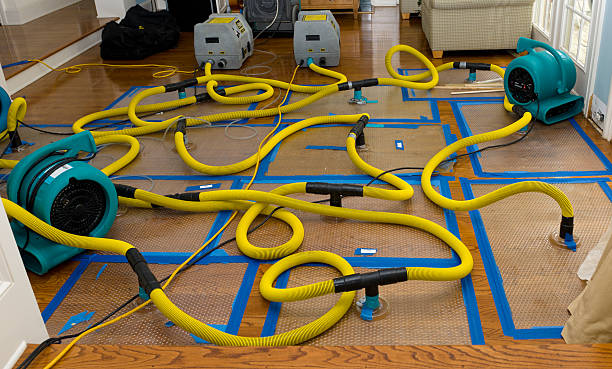 Professional Storm Water Damage Restoration technician working in Mamaroneck, NY